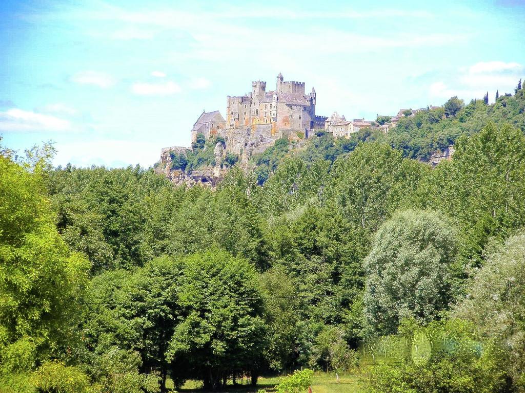 Charming Gite With Pool In Vezac Beynac-et-Cazenac Buitenkant foto